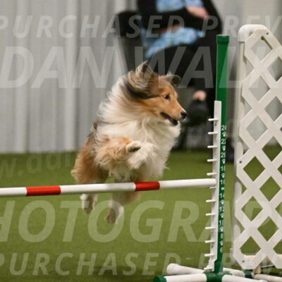 Bailey-Barb-Schmauder-02553