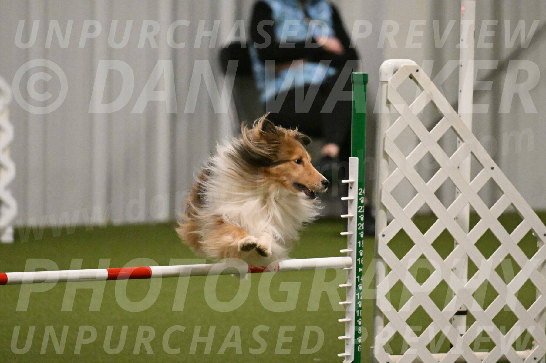 Bailey-Barb-Schmauder-02554