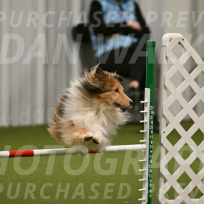 Bailey-Barb-Schmauder-02554