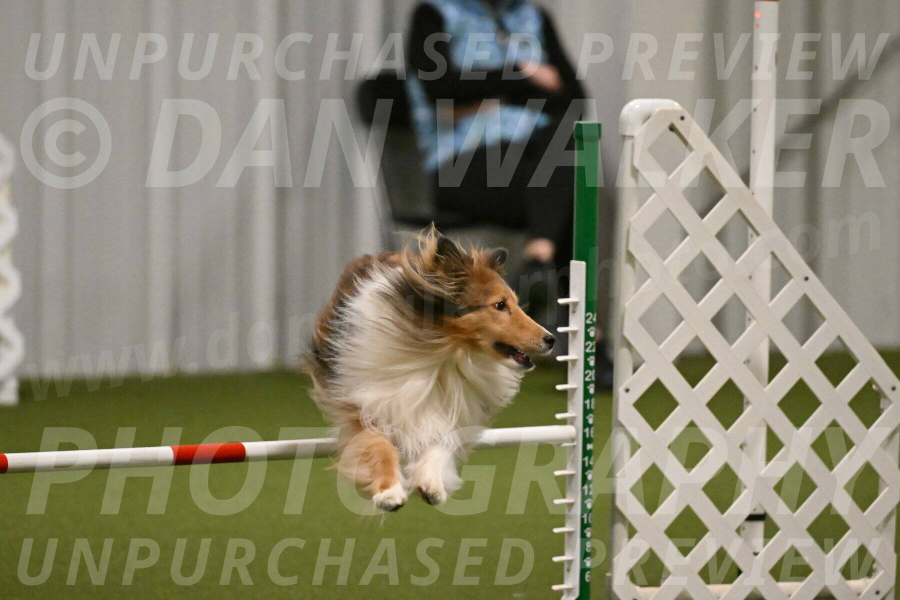 Bailey-Barb-Schmauder-02555