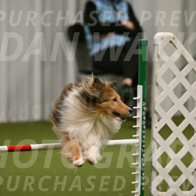 Bailey-Barb-Schmauder-02555