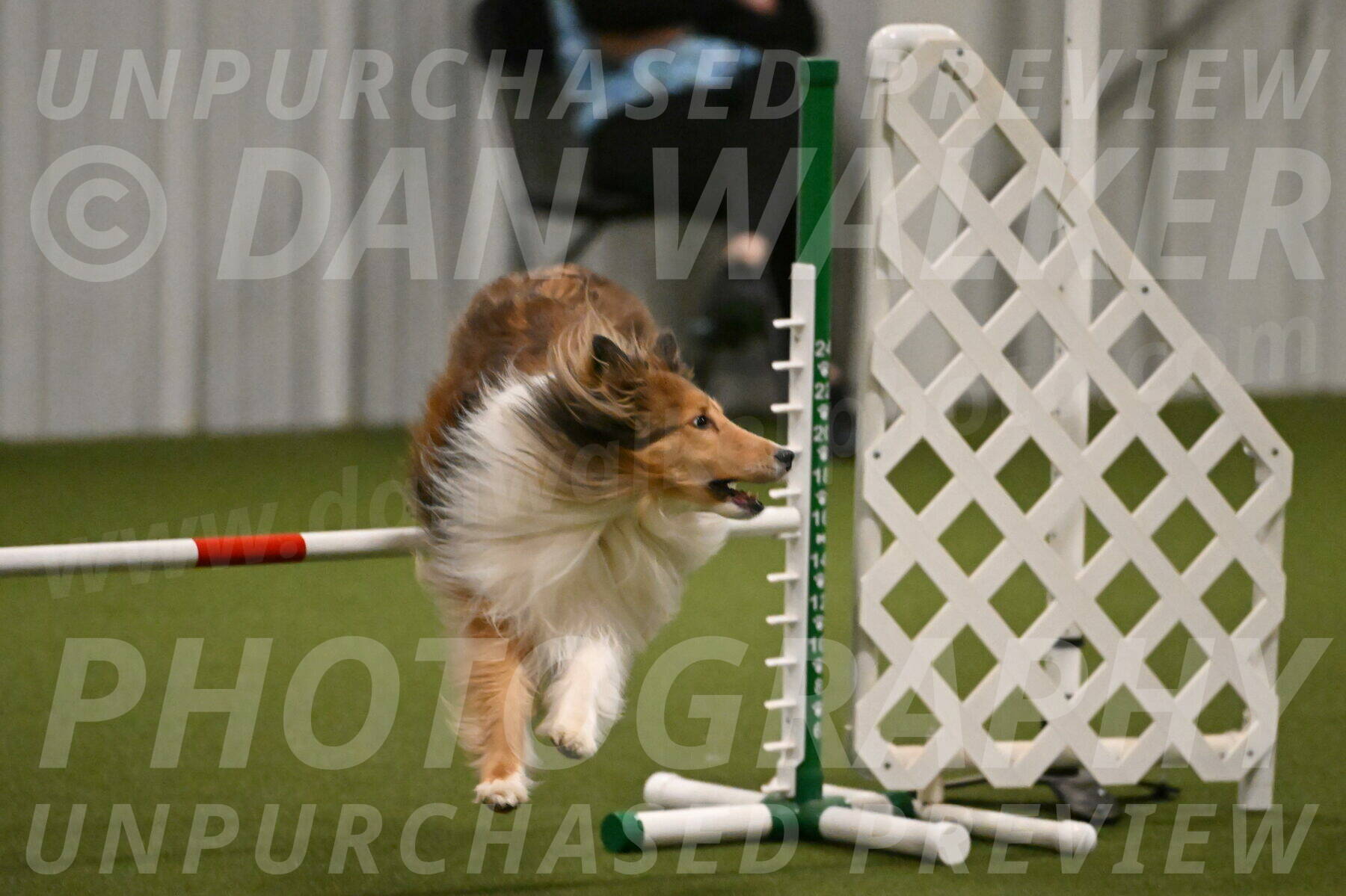 Bailey-Barb-Schmauder-02556