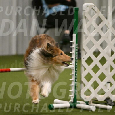 Bailey-Barb-Schmauder-02556