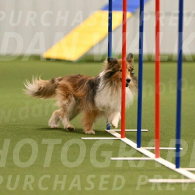 Bailey-Barb-Schmauder-02557