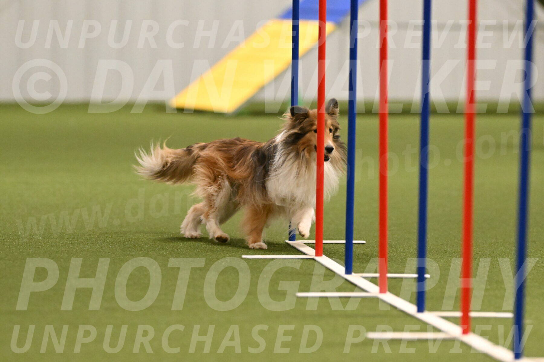 Bailey-Barb-Schmauder-02557