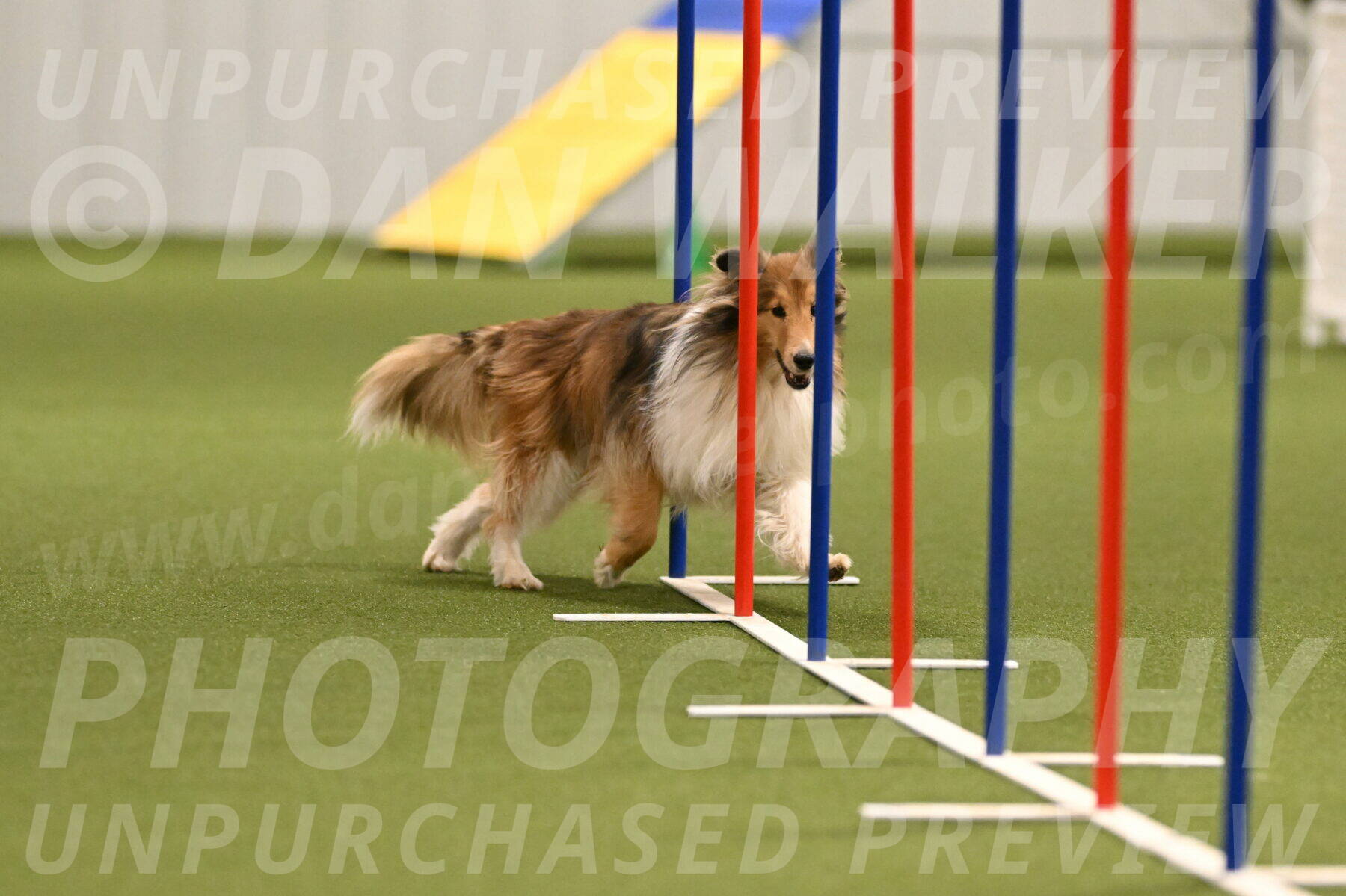 Bailey-Barb-Schmauder-02558