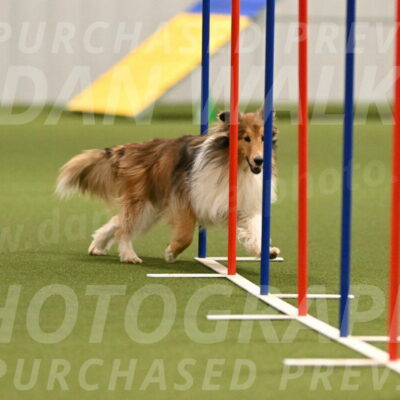 Bailey-Barb-Schmauder-02558