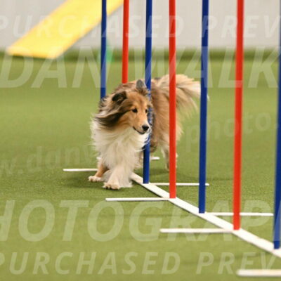 Bailey-Barb-Schmauder-02559