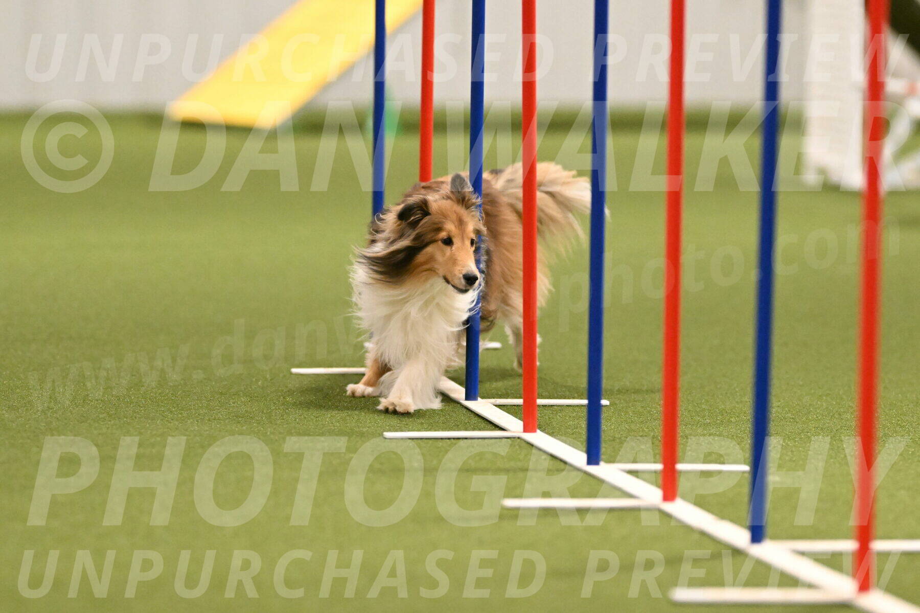 Bailey-Barb-Schmauder-02559