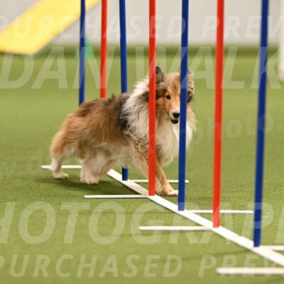 Bailey-Barb-Schmauder-02560