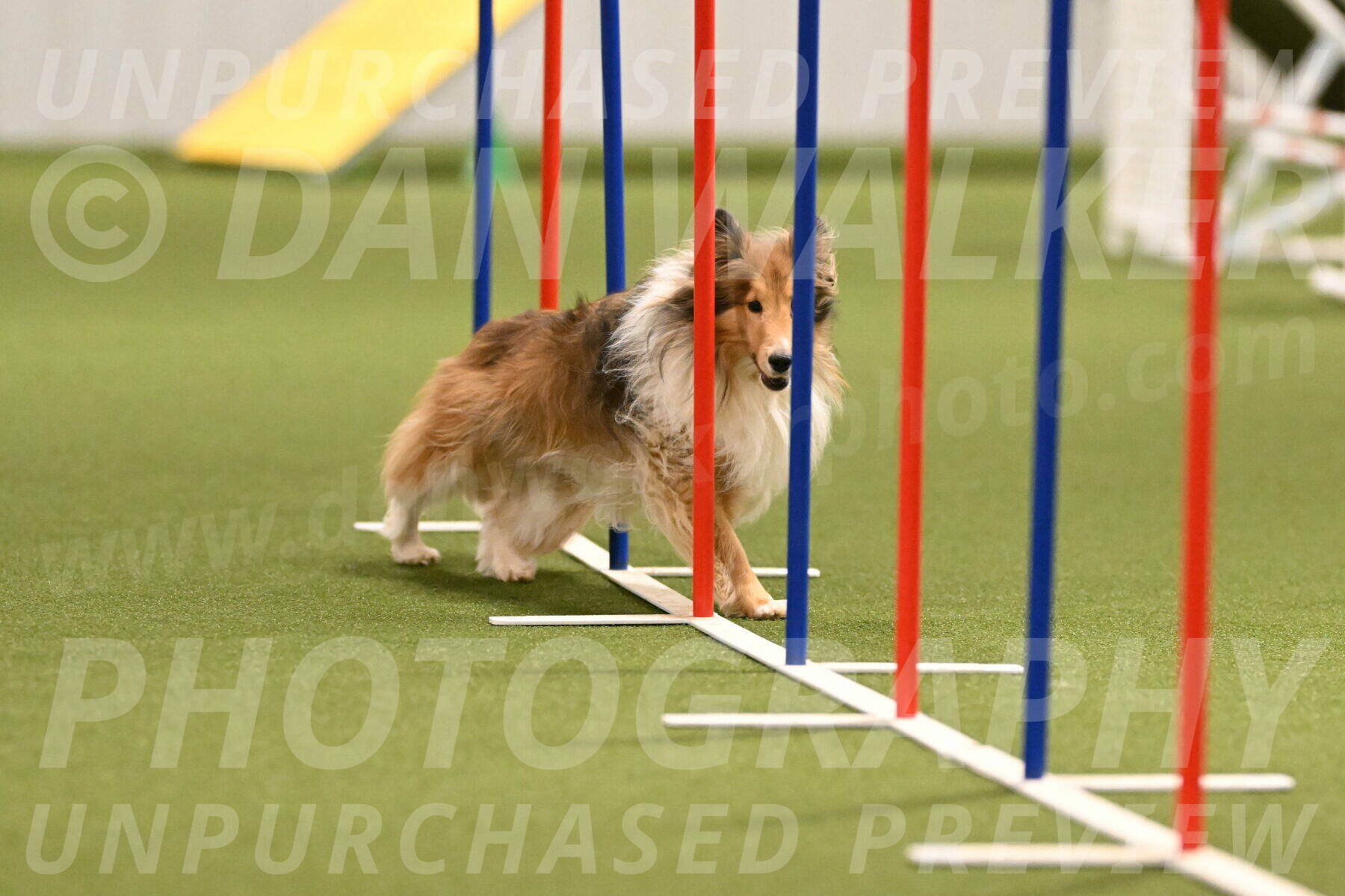 Bailey-Barb-Schmauder-02560