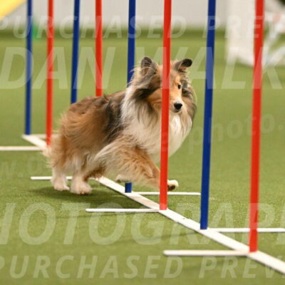 Bailey-Barb-Schmauder-02561