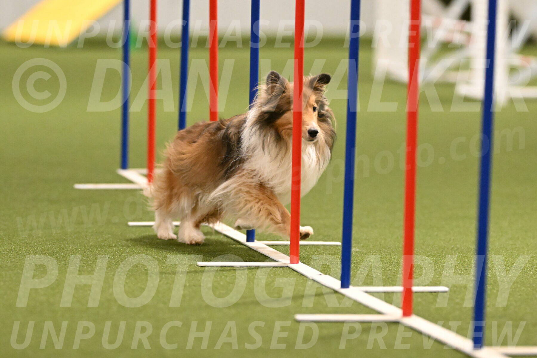 Bailey-Barb-Schmauder-02561