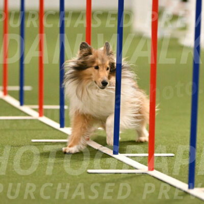 Bailey-Barb-Schmauder-02562