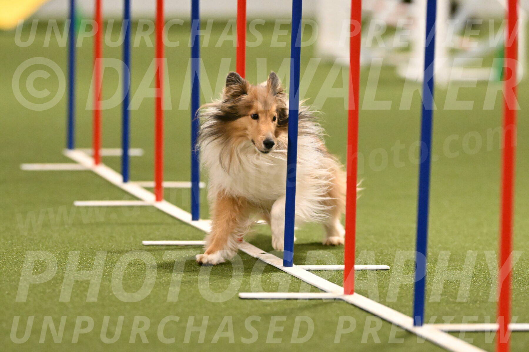 Bailey-Barb-Schmauder-02562