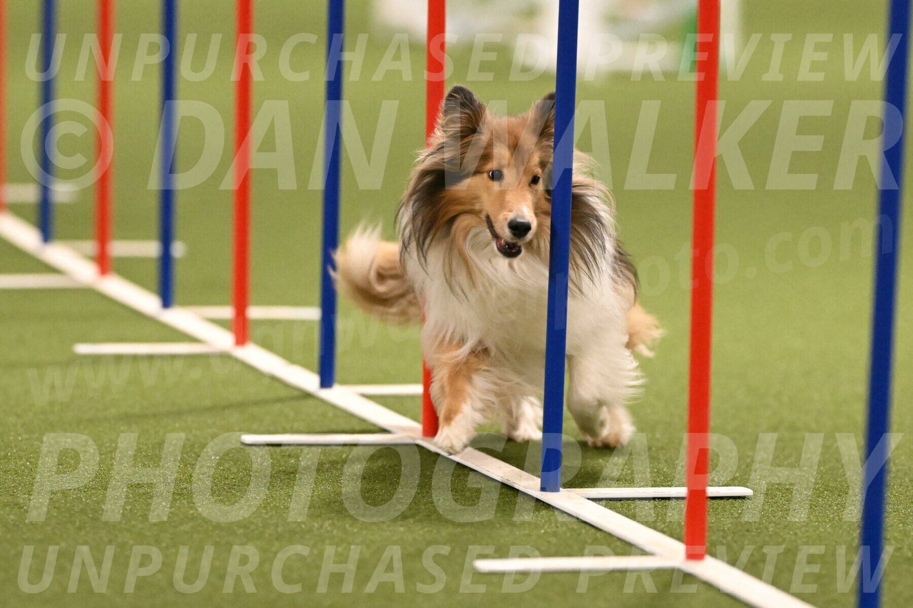 Bailey-Barb-Schmauder-02563