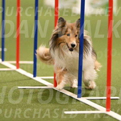 Bailey-Barb-Schmauder-02563