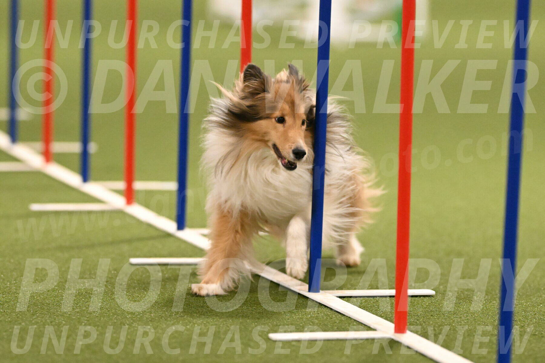 Bailey-Barb-Schmauder-02564