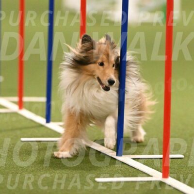 Bailey-Barb-Schmauder-02564