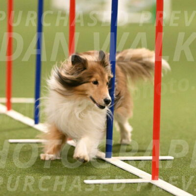 Bailey-Barb-Schmauder-02565