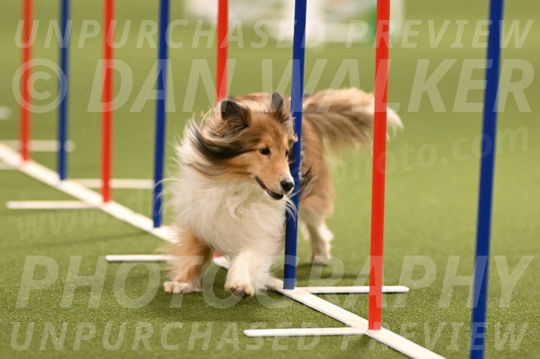 Bailey-Barb-Schmauder-02565