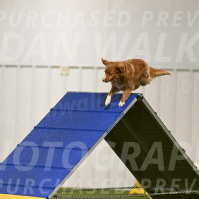 Basil-Cindy-Fink-02117