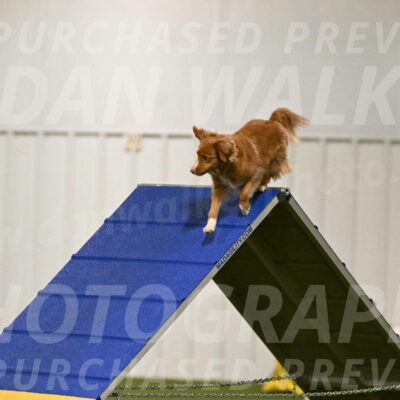 Basil-Cindy-Fink-02118