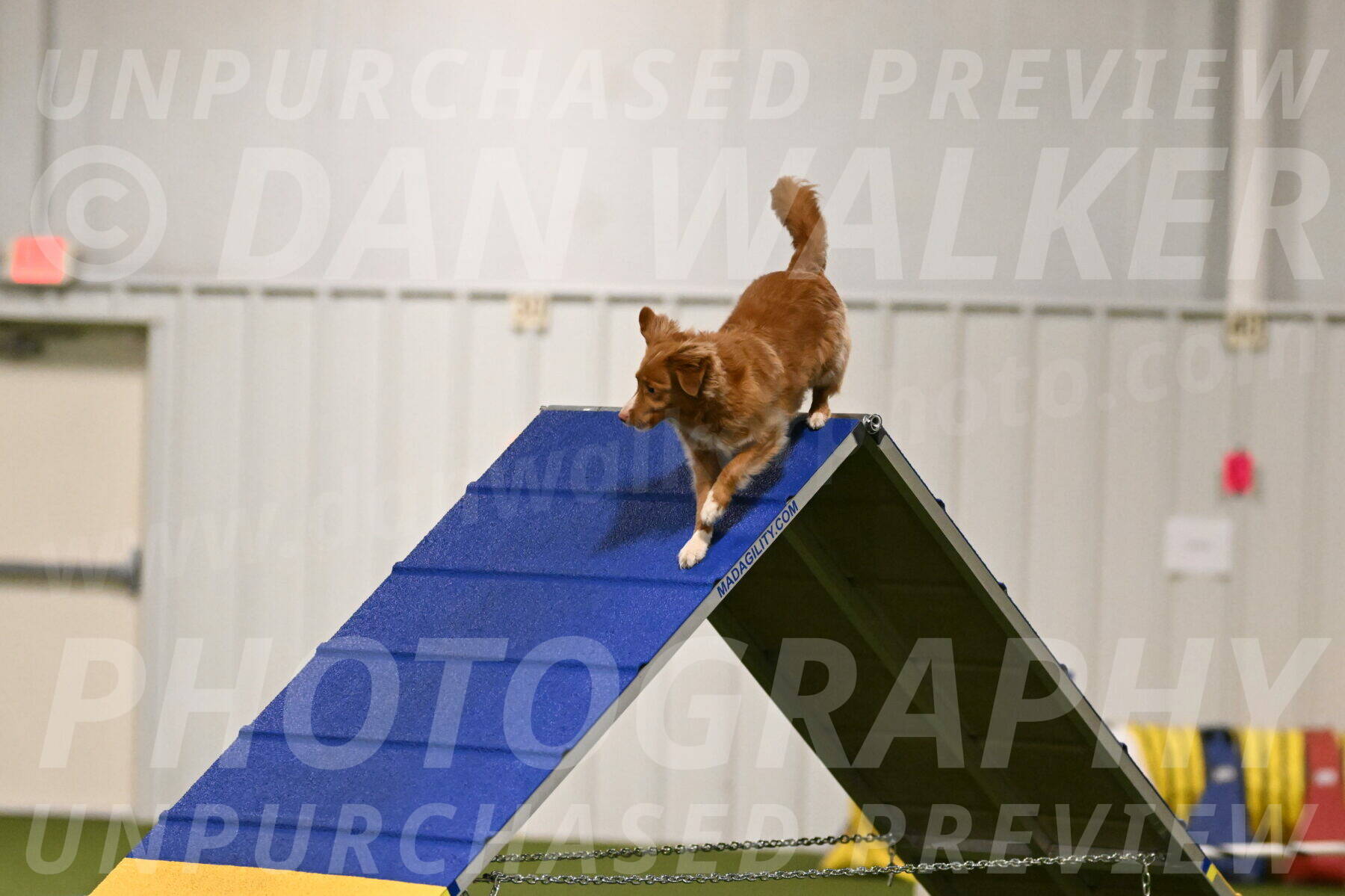 Basil-Cindy-Fink-02119