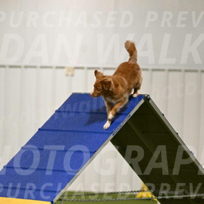 Basil-Cindy-Fink-02119