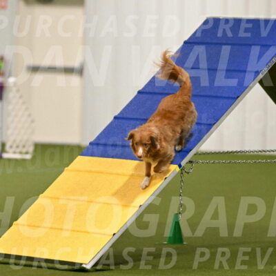 Basil-Cindy-Fink-02120