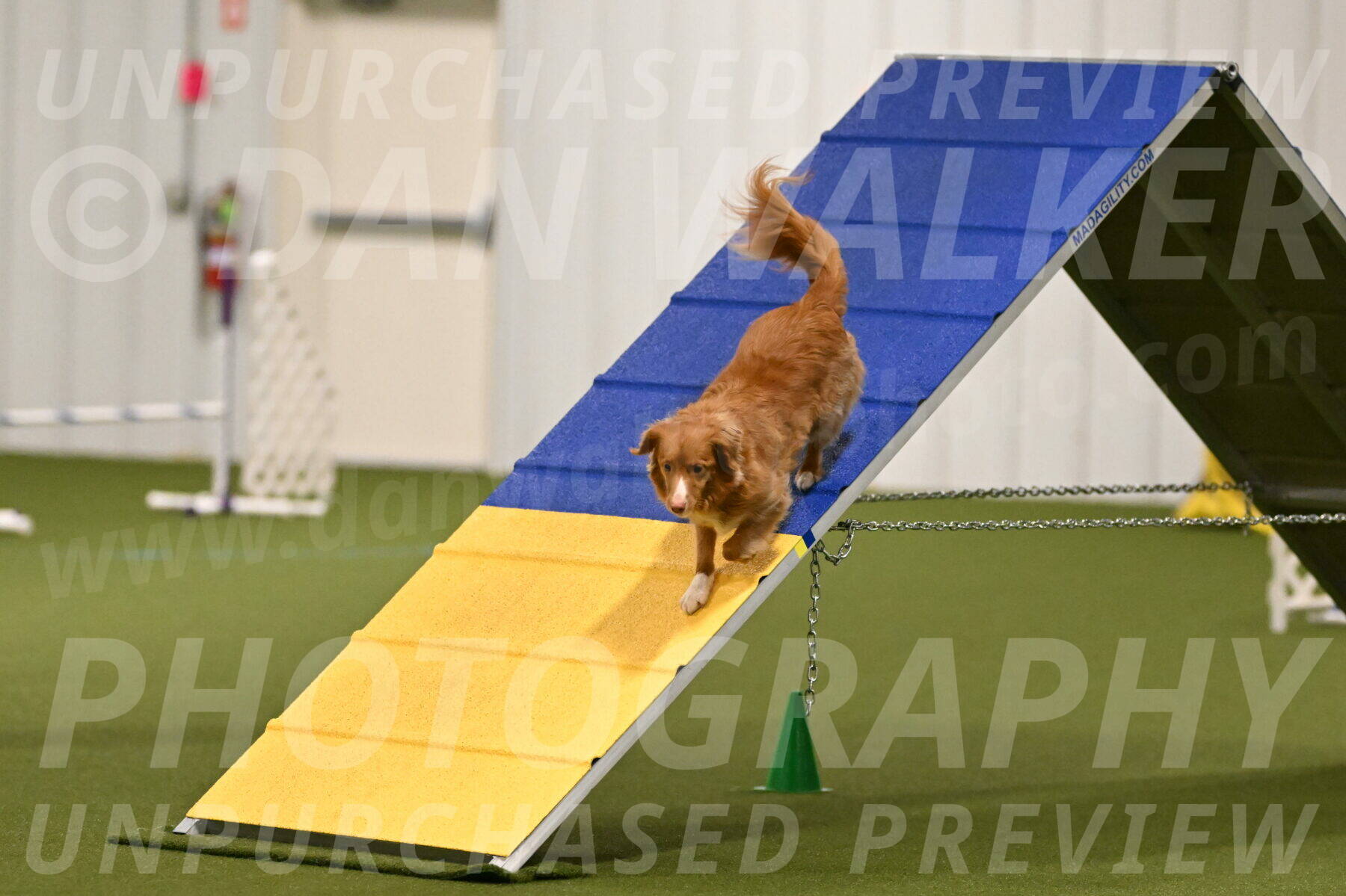 Basil-Cindy-Fink-02120