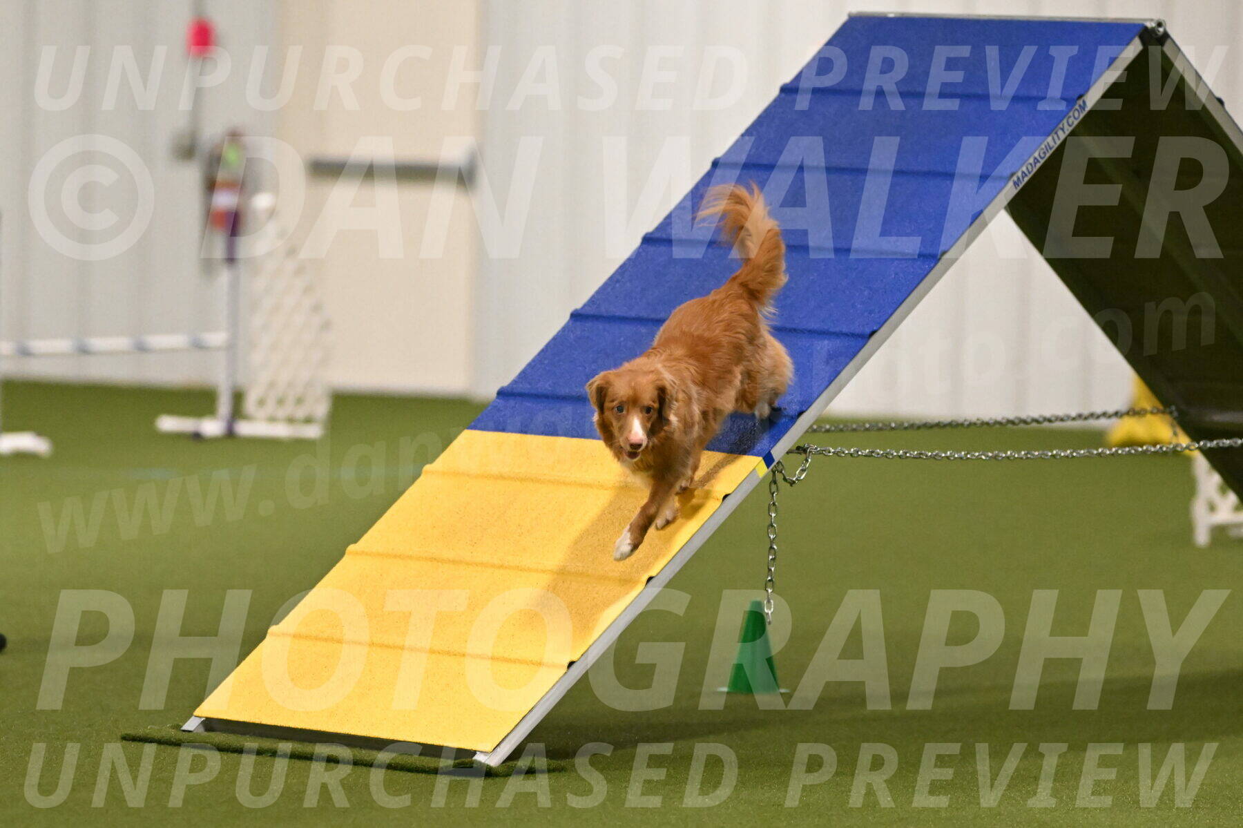 Basil-Cindy-Fink-02121