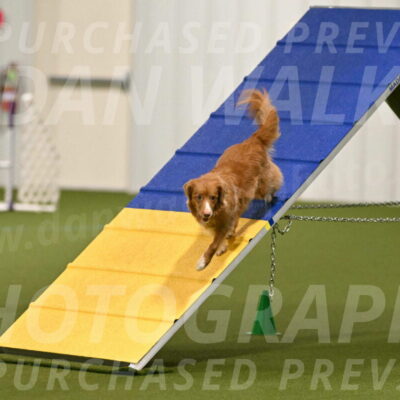 Basil-Cindy-Fink-02121