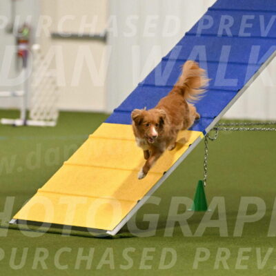 Basil-Cindy-Fink-02122