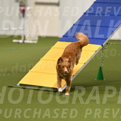 Basil-Cindy-Fink-02123