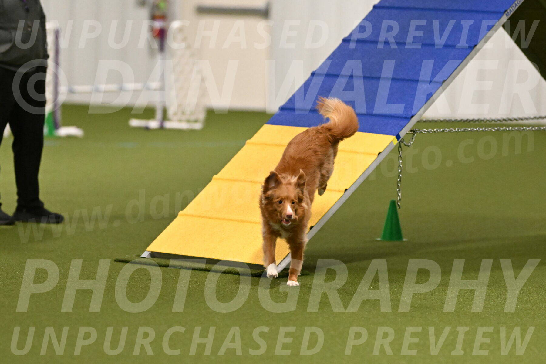 Basil-Cindy-Fink-02123