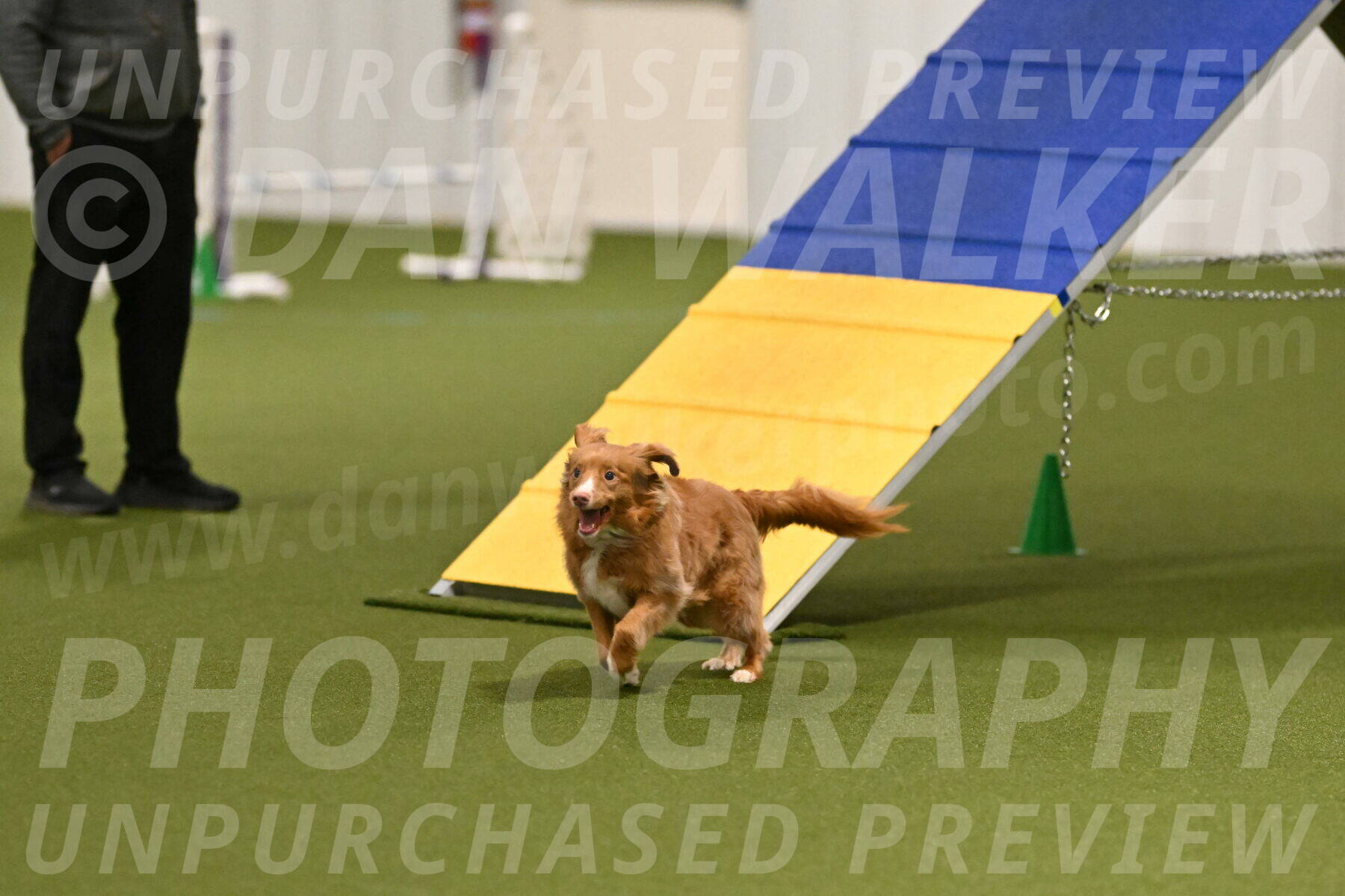 Basil-Cindy-Fink-02124