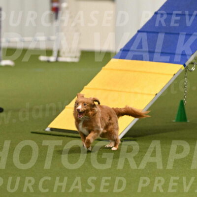 Basil-Cindy-Fink-02124