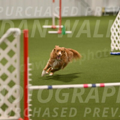 Basil-Cindy-Fink-02125