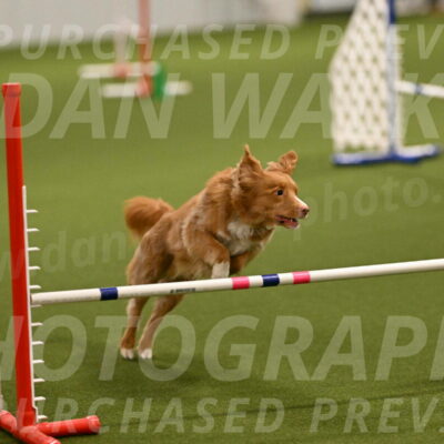 Basil-Cindy-Fink-02126