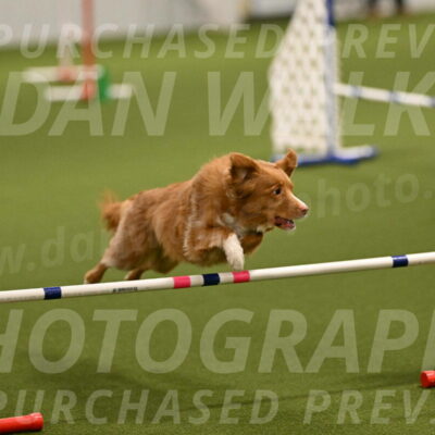 Basil-Cindy-Fink-02127