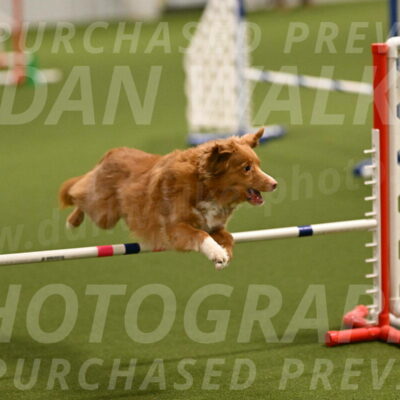 Basil-Cindy-Fink-02128