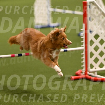 Basil-Cindy-Fink-02129