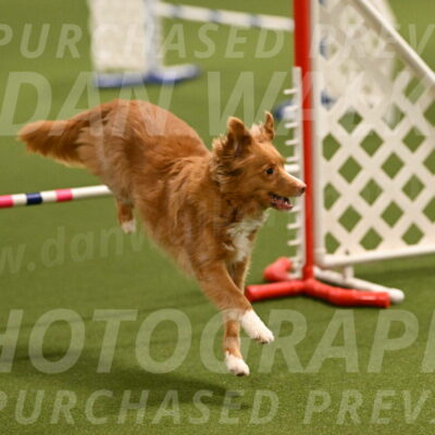 Basil-Cindy-Fink-02130