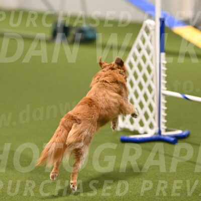 Basil-Cindy-Fink-02131