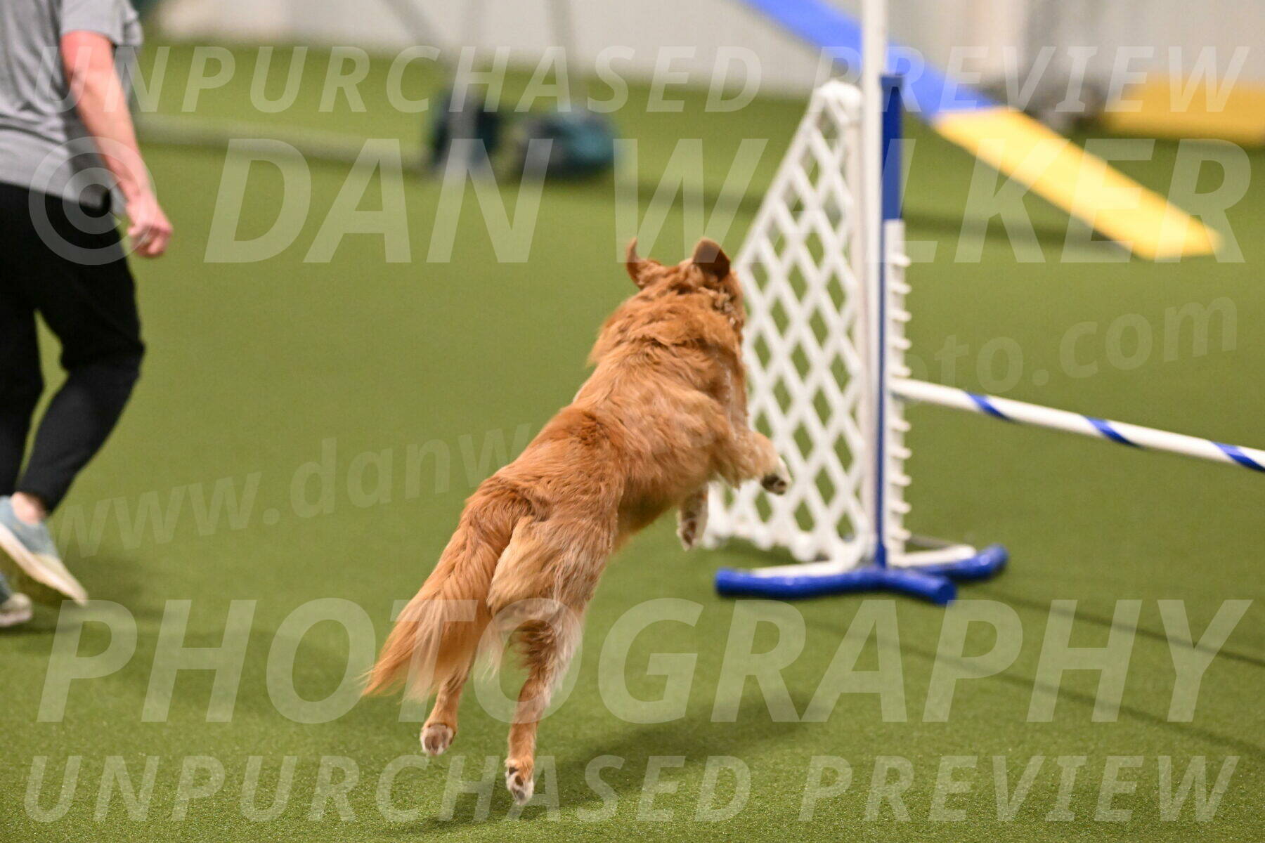 Basil-Cindy-Fink-02131