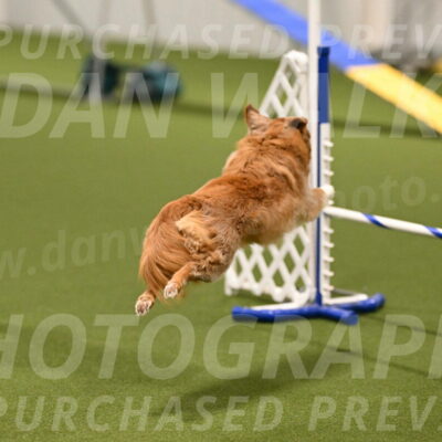 Basil-Cindy-Fink-02132