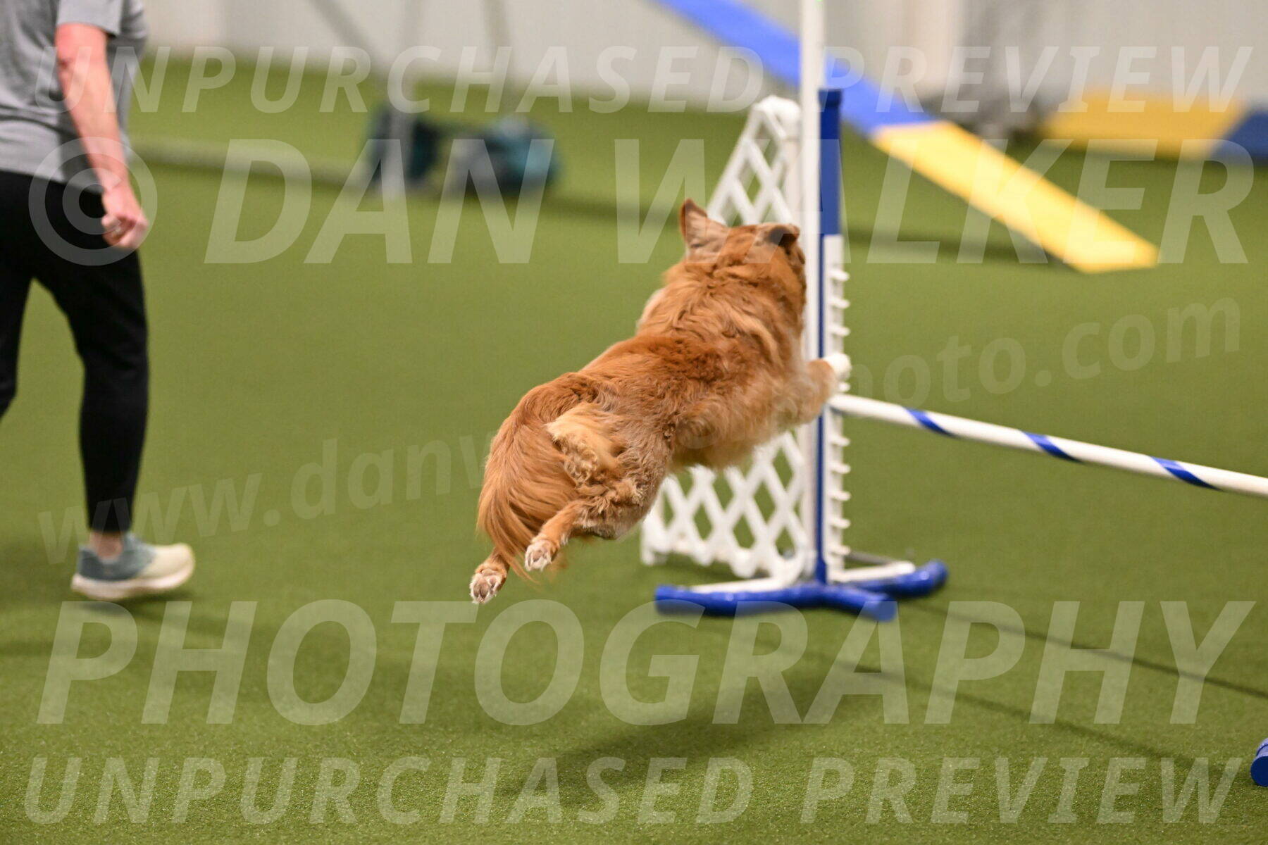 Basil-Cindy-Fink-02132