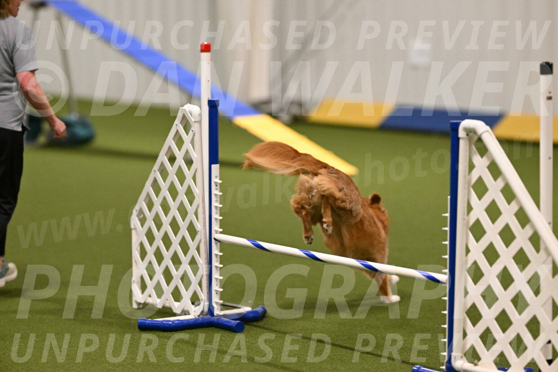 Basil-Cindy-Fink-02133