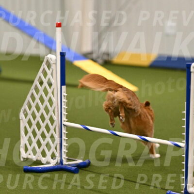 Basil-Cindy-Fink-02133